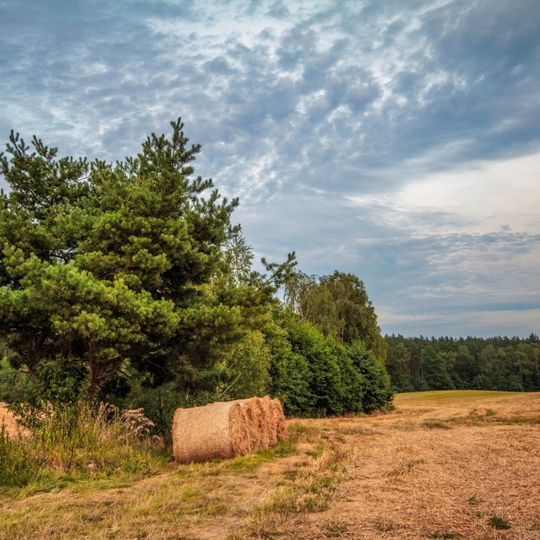 zdjęcia Edyty Lichy