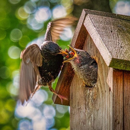 zdjęcia Edyty Lichy