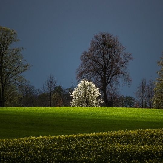 zdjęcia Edyty Lichy