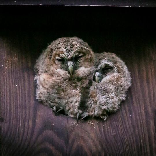 zdjęcia Edyty Lichy