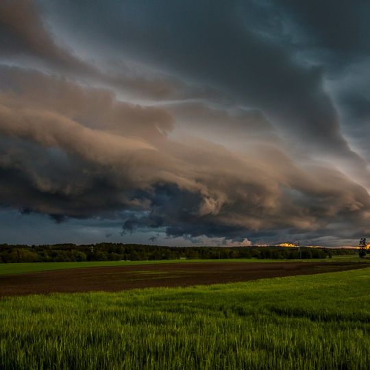 zdjęcia Edyty Lichy