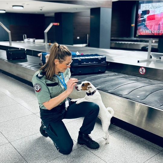 udaremniony przemyt narkotyków z USA