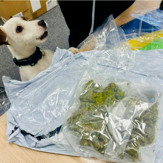 udaremniony przemyt narkotyków z USA