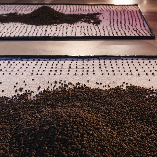 otwarcie wystawy „Mariupol – droga pamięci i marzeń” MIIWŚ, Gdańsk 2026