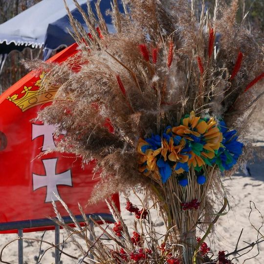 VIII Trójmiejski Zlot Morsów, Gdańsk 2026