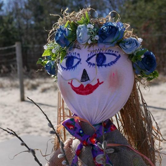 VIII Trójmiejski Zlot Morsów, Gdańsk 2026