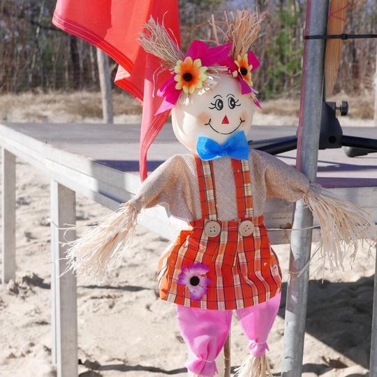 VIII Trójmiejski Zlot Morsów, Gdańsk 2026