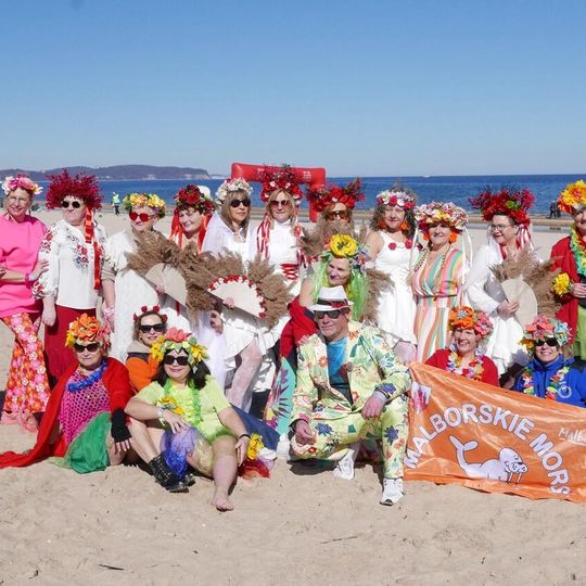 VIII Trójmiejski Zlot Morsów, Gdańsk 2026