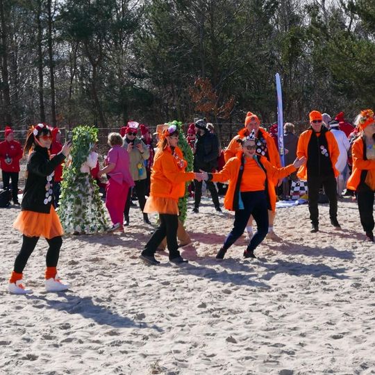 VIII Trójmiejski Zlot Morsów, Gdańsk 2026