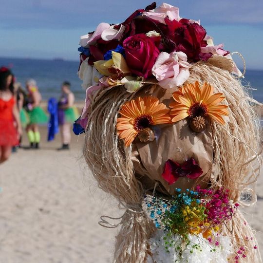 VIII Trójmiejski Zlot Morsów, Gdańsk 2026