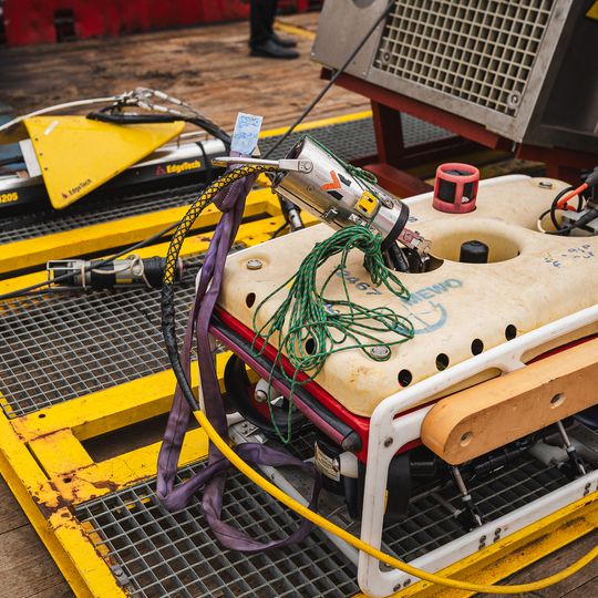 wizyta Andrzeja Domańskiego i Arkadiusza Marchewki na pokładzie statku Amber Cecylia, Gdańsk 2026