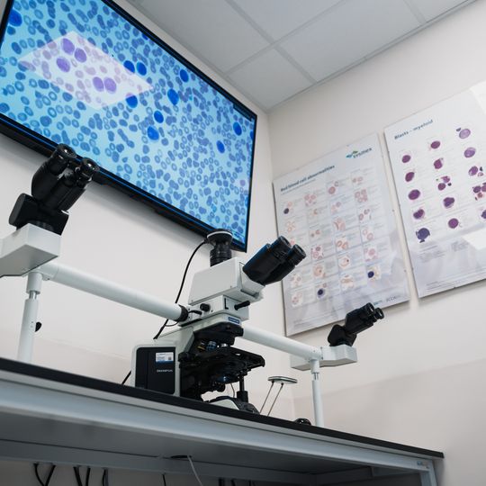 Oddział Hematologiczny Jednego Dnia w Gdyni