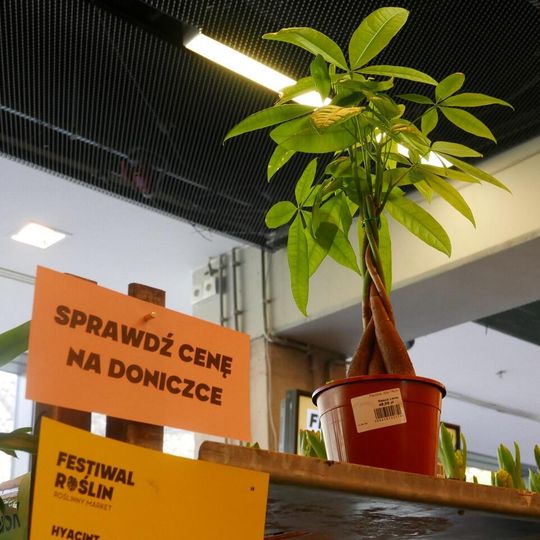 Festiwal Roślin 2026, Gdańsk