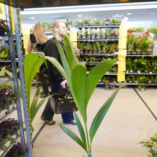 Festiwal Roślin 2026, Gdańsk