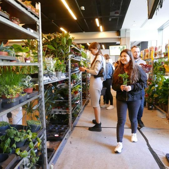 Festiwal Roślin 2026, Gdańsk