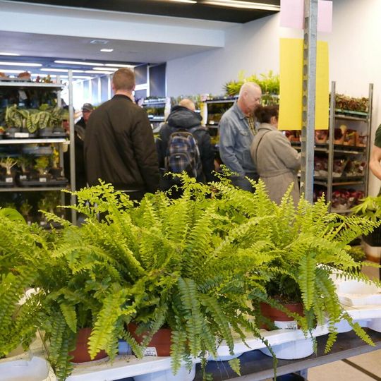 Festiwal Roślin 2026, Gdańsk