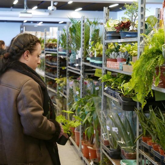 Festiwal Roślin 2026, Gdańsk