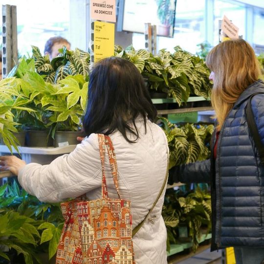 Festiwal Roślin 2026, Gdańsk