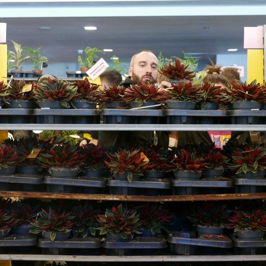 Festiwal Roślin 2026, Gdańsk