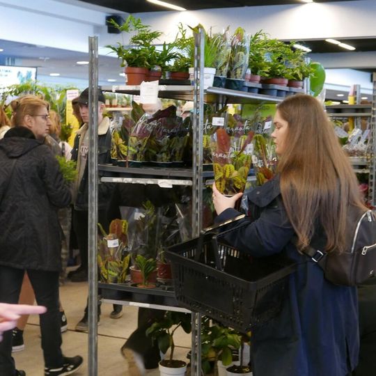 Festiwal Roślin 2026, Gdańsk