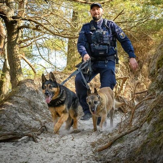 Scooby, nowy pies służbowy lęborskiej policji