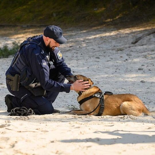 Scooby, nowy pies służbowy lęborskiej policji