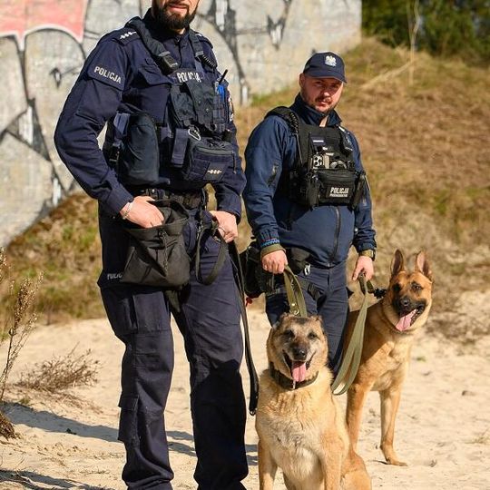 Scooby, nowy pies służbowy lęborskiej policji