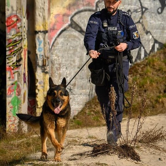 Scooby, nowy pies służbowy lęborskiej policji
