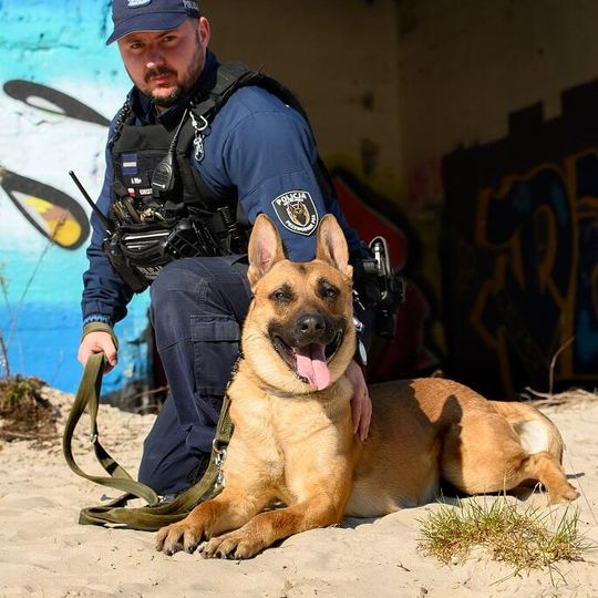 Scooby, nowy pies służbowy lęborskiej policji