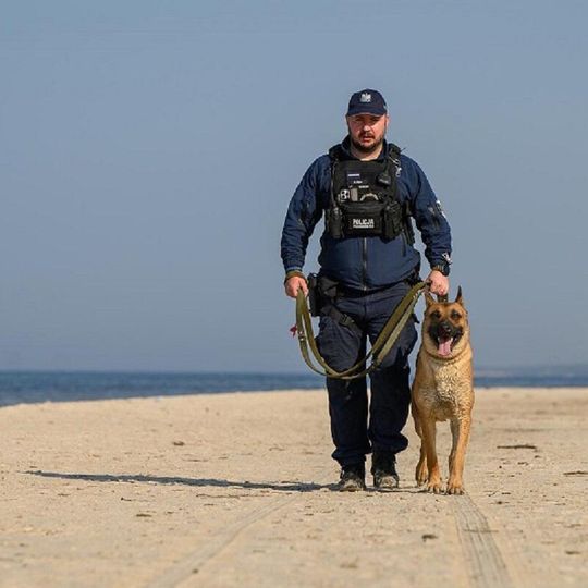 Scooby, nowy pies służbowy lęborskiej policji