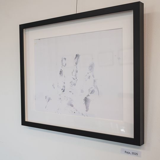 wystawa rysunków orangutanicy Rai z gdańskiego zoo, Gdańsk 2026