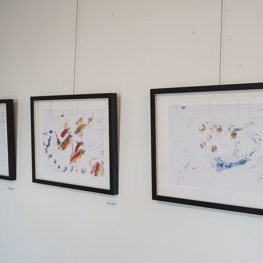 wystawa rysunków orangutanicy Rai z gdańskiego zoo, Gdańsk 2026