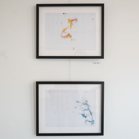 wystawa rysunków orangutanicy Rai z gdańskiego zoo, Gdańsk 2026