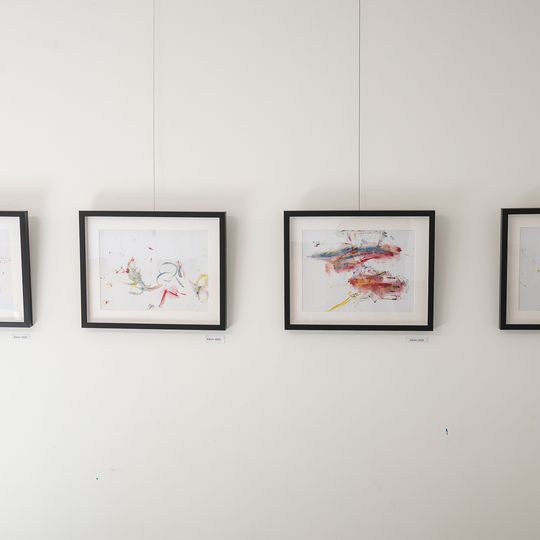 wystawa rysunków orangutanicy Rai z gdańskiego zoo, Gdańsk 2026