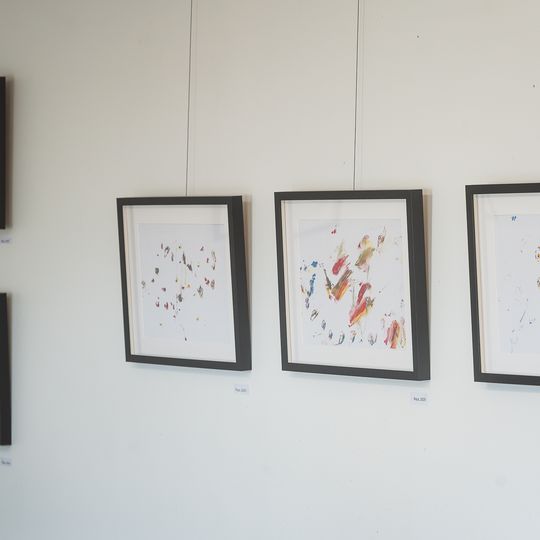 wystawa rysunków orangutanicy Rai z gdańskiego zoo, Gdańsk 2026