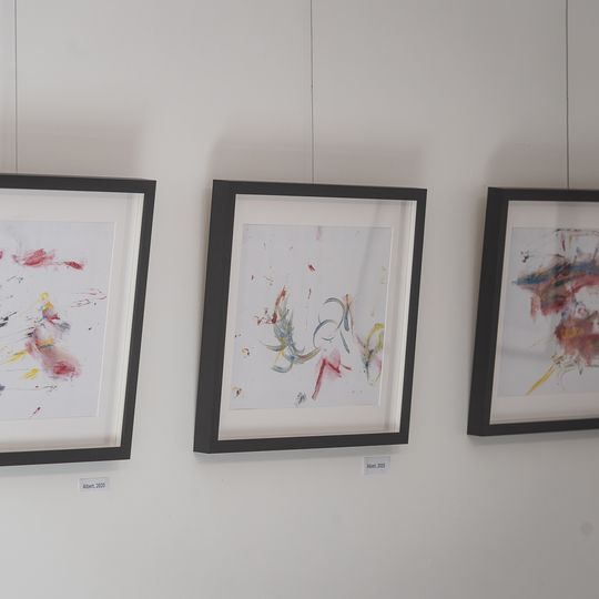 wystawa rysunków orangutanicy Rai z gdańskiego zoo, Gdańsk 2026