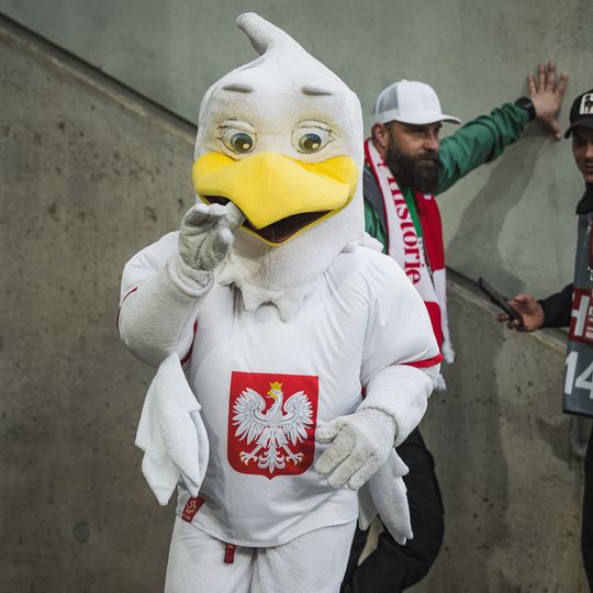 mecz Polska - Irlandia, Gdańsk 2026