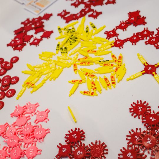 Dzień Otwarty GUMed 2026, Gdańsk