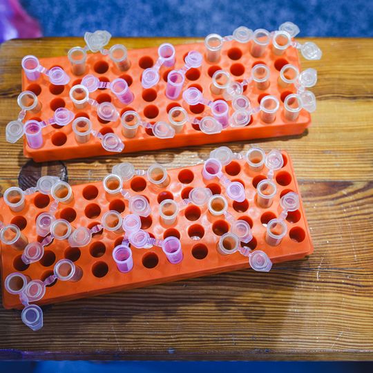 Dzień Otwarty GUMed 2026, Gdańsk