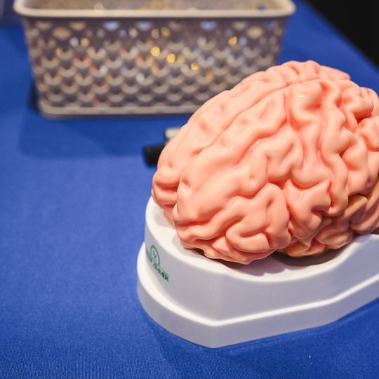 Dzień Otwarty GUMed 2026, Gdańsk