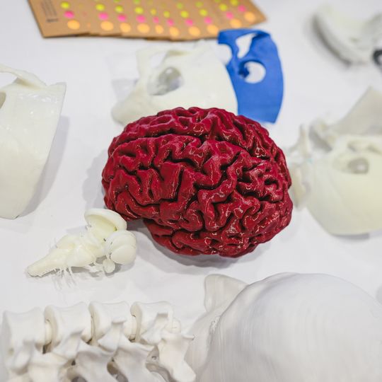 Dzień Otwarty GUMed 2026, Gdańsk