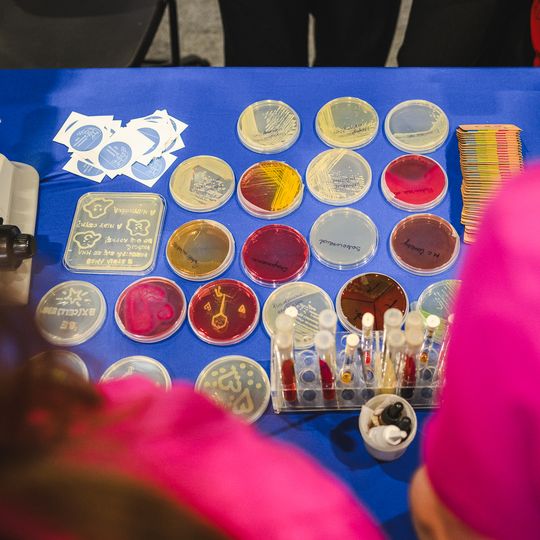 Dzień Otwarty GUMed 2026, Gdańsk