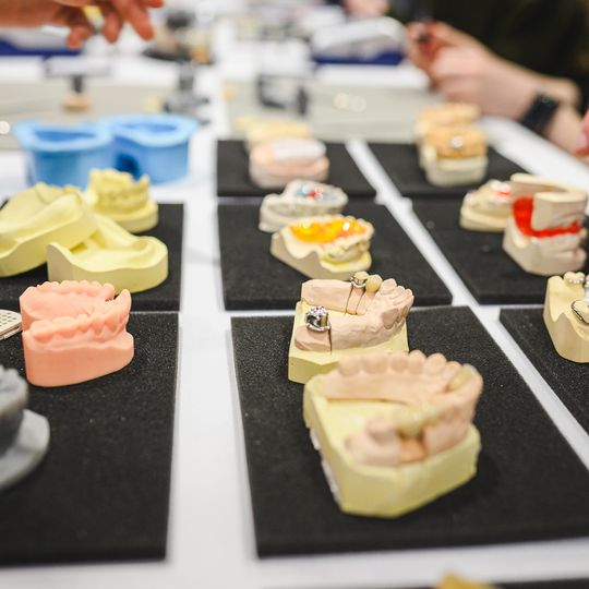 Dzień Otwarty GUMed 2026, Gdańsk