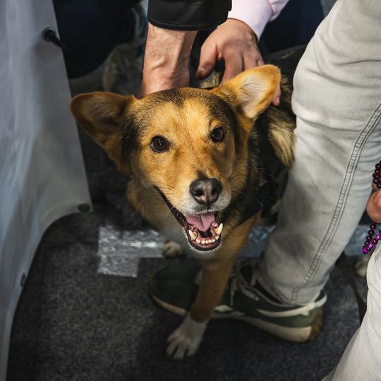 Festiwal Rękodzieła „Cudeńka” 2026, Gdańsk