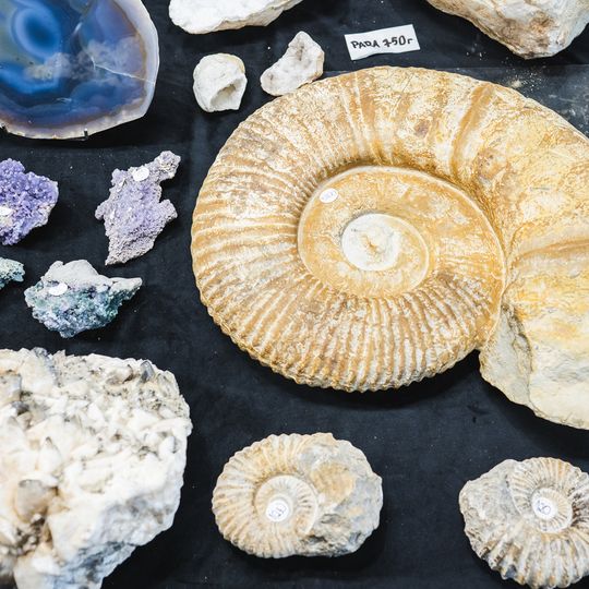 Festiwal Rękodzieła „Cudeńka” 2026, Gdańsk