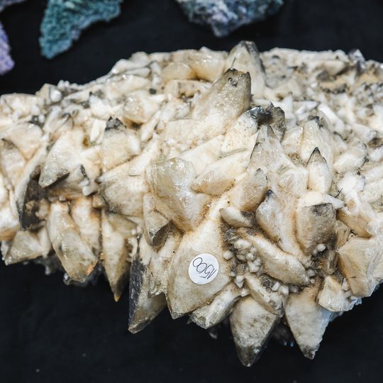 Festiwal Rękodzieła „Cudeńka” 2026, Gdańsk