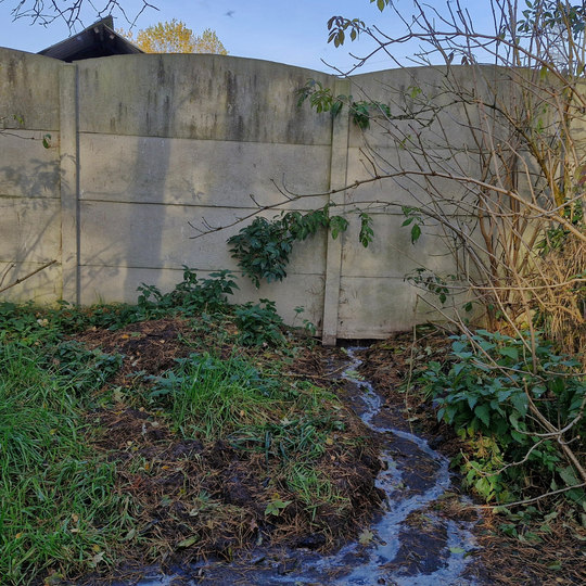 drastyczne traktowanie zwierząt na fermie norek i lisów w Leźnie