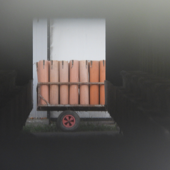 drastyczne traktowanie zwierząt na fermie norek i lisów w Leźnie