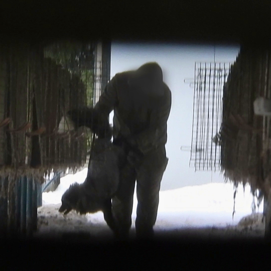 drastyczne traktowanie zwierząt na fermie norek i lisów w Leźnie