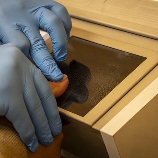 zatrzymani w śledztwie w sprawie legalizacji pobytu cudzoziemców